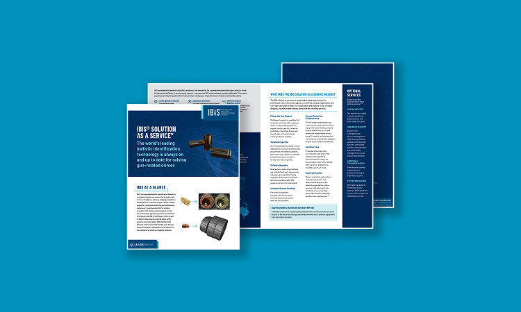 IBIS Solution as a Service