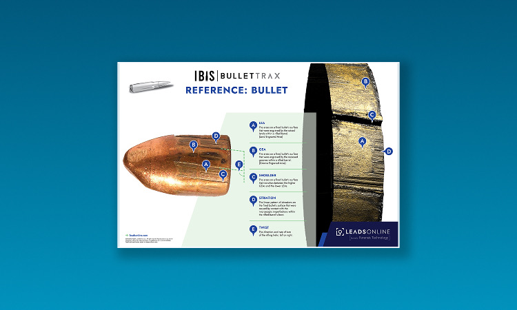 BulletTrax Bullet Reference Poster