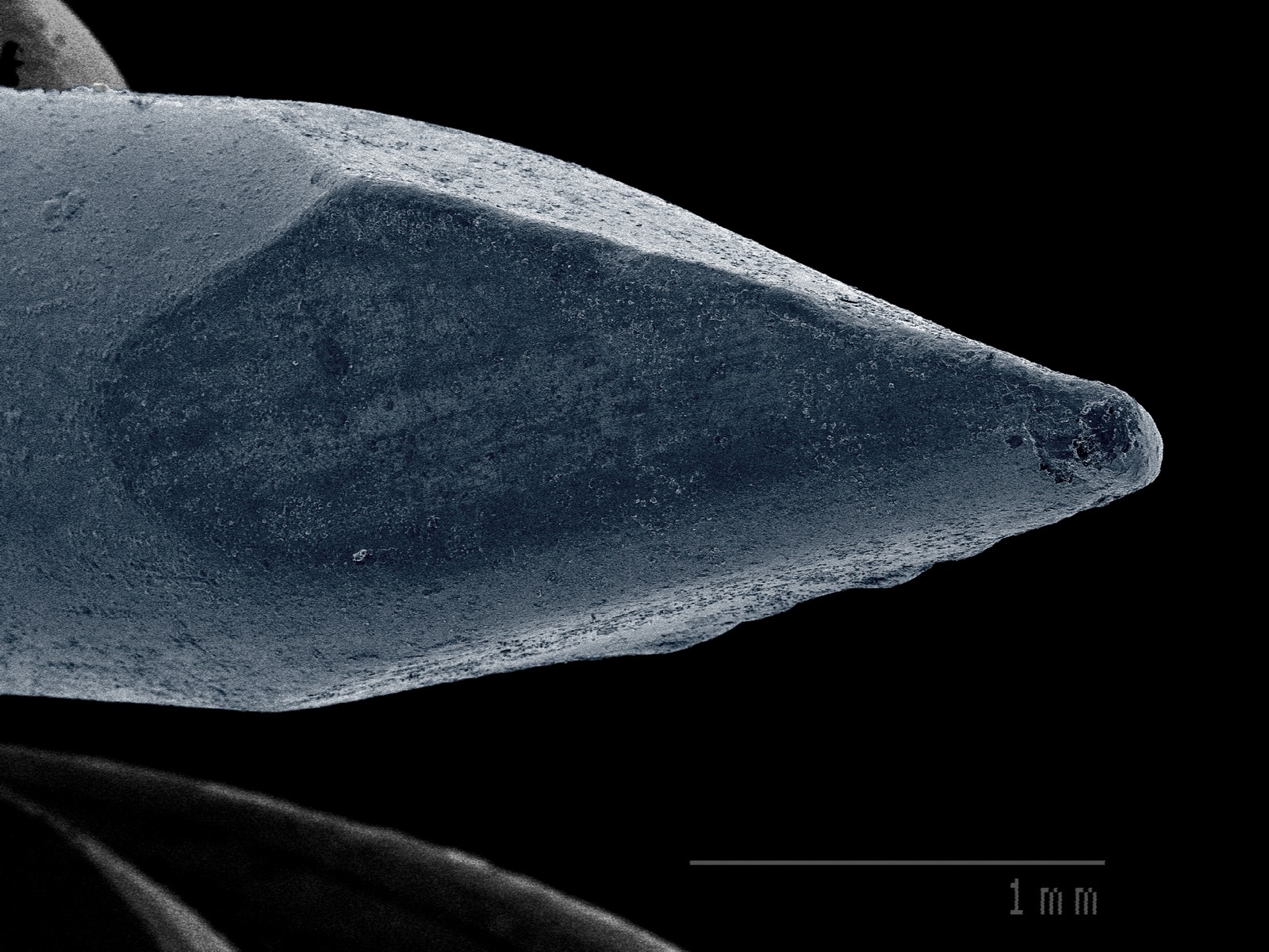 High-Definition 3D Viewing