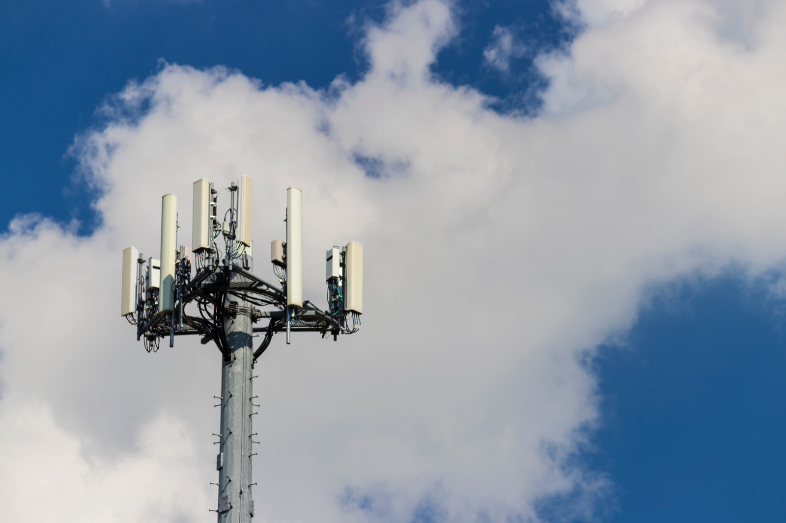 CellHawk Product Brief