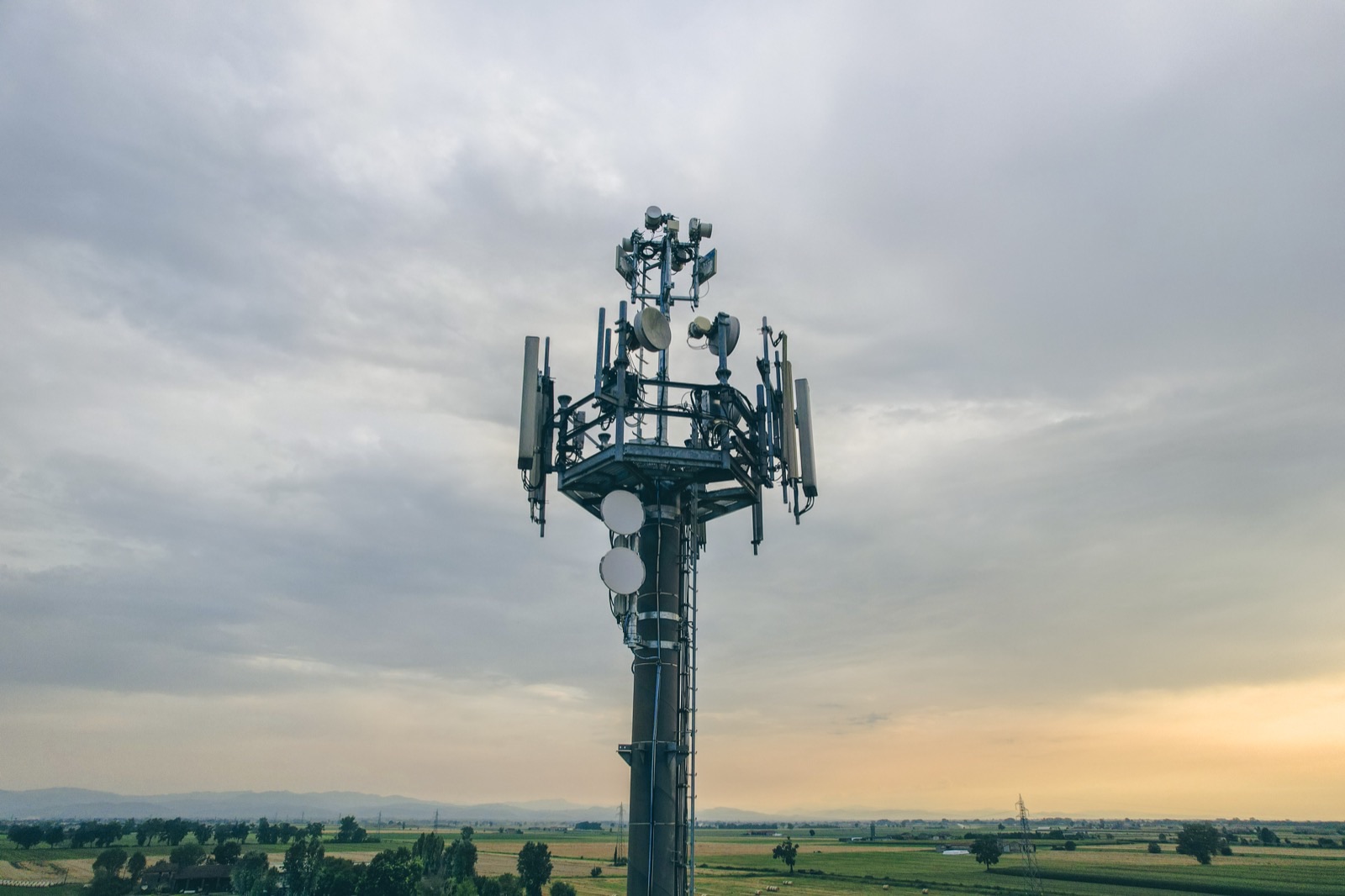 Cellular carrier guides and contact information